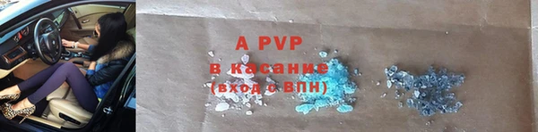 стаф Аркадак