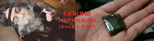 стаф Аркадак